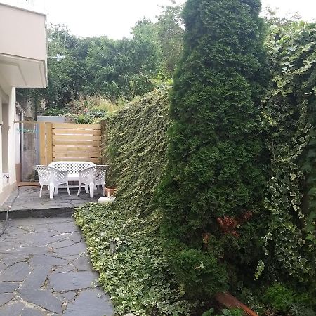 Apartamento Con Pequeno Jardin En El Centro Ferrol Esterno foto
